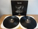 HIGH RISE - LIVE 1999 RARE PSYCH PUNK DLP IN UNPLAYED MINT CONDITION
