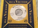 Elvis Presley Promotional 45 SP-45-139 Roustabout (Mint Rare)