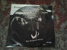Drowning the Light The Serpents Reign Pic LP 1st Press NEU Satanic Warmaster