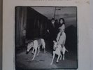VAN MORRISON - Days Like This - Original 1995 Euro LP + Inner