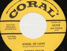 JOHNNY DEVLIN 