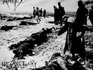 amebix no sanctuary hardcore punk ex/ex on vinyl