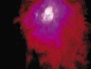 PORCUPINE TREE - UP THE DOWNSTAIR  2 VINYL LP NEW+