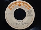 The Voices of East Harlem Cashing in orig nor soul 1973