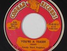 Garage 45 - Candy Store Prophets - You're A Teaser - Cougar - mp3