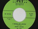 R&B 45 - Bobby Adams - I Want My Lovin' - Pet - VG++ mp3