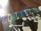 GORILLA BISCUITS start today LP 1st press EMBOSSED sxe nyhc youth of today bold