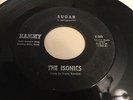 RARE Northern Soul 45  The Isonics  Kammy 369 Label - Sugar - He Needs Her