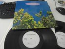The Go Betweens – 1978-1990 (Dolp,1990, Garage) Test Promo Mint