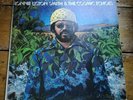 LONNIE LISTON SMITH & THE COSMIC ECHOES-VISIONS OF A NEW WORLD LP BDL1-1196 VG+