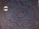 ADAMS, Ryan/THE CARDINALS - Cold Roses - Vinyl (LP)