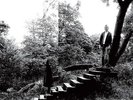 TIMBER TIMBRE-TIMBER TIMBRE  (US IMPORT)  VINYL LP NEW