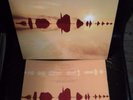 Kate Bush - Aerial (2005) 2-fach Vinyl LP