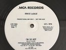 DENISE LASALLE I'm So Hot 1980 Promo 12