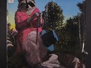 J.J. CALE: Naturally LP (2nd press overstamped logo, dist. by Capitol, staple i