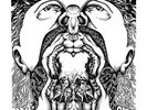 ANT TRIP CEREMONY - 24 Hours - LP 1968 Merlins Nose Records