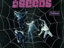 THE SEEDS   A WEB OF SOUND   12
