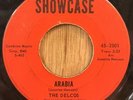 THE DELCOS northern soul 45 Arabia / Those Three Little Words   Showcase