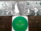 Chain of strength - true 'till death. Green vinyl. SxE. Judge. Youth of...
