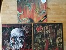 3x Slayer LP albums, Reign in blood, Hell awaits, South of heaven. Thrash metal