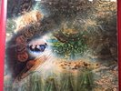 Pink Floyd - A Saucerful Of Secrets (Scarce)