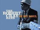 LP-ROBERT CRAY-IN MY SOUL -LP- NEW VINYL RECORD