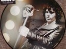 THE DOORS Live On Air LP WHITE TRASH RECORDS WTR01 Limited PICTURE DISC