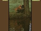 Bobby Charles 1972 ST Vinyl LP Record neil young/bob dylan/the band/dr john  NEW