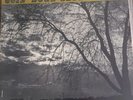 St. Louis Jimmy Goin Down Slow LP Bluesville Original BV1028