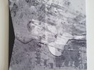 radiohead in rainbows vinyl
