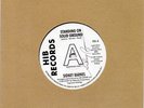 SIDNEY BARNES  STANDING ON SOLID GROUND/MAN IN A MILLION UK HIB Autograped DEMO