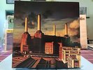 Pink Floyd 