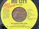 DANI RAYE & NATURE'S WAY 70s sweet soul 45 Try Something New / Clouds   Mo-City