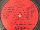 THE ROYALETTES ' SOMETHING WONDERFUL / RIVER OF TEARS' RARE NORTHERN SOUL 60'S