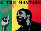 TOOTS AND THE MAYTALS - 1994 - Konzertplakat - Tourposter - Düsseldorf