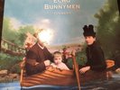 Echo and the Bunnymen-Flowers (UK IMPORT) Vinyl Rare