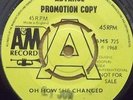 The Strawbs-Oh how she changed Demo. 7
