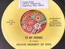 Rare Wisconsin Garage Psych 45 Private Property of Digil To My Friends EX HEAR
