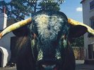 Swervedriver - Mezcal Head