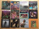 Larry Coryell 12 Vinylalben LPs