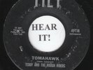 Teddy & The Rough Riders SURF GARAGE 45 (Tilt 778) Tomahawk / Thunder Head