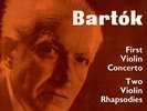 13lp violin gertler/oistrakh/suk/ferras/riebl/menuhin ex/nm cvr. vg+