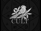 Bayside-Cult  VINYL NUOVO