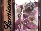 SAMIAM LP purple Vinyl 1990 original PUNK HARDCORE EMO INDIE KNAPSACK JAWBREAKER