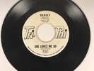 HARVEY ?– Any Way You Wanta/ She Loves Me So PROMO VG+ HEAR  NORTHERN SOUL