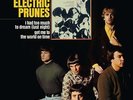 THE ELECTRIC PRUNES The Electric Prunes LP Vinyl NEW 2017
