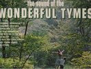 VINYL  LP  //  THE  TYMES  --  THE  SOUND  OF  THE  WONDERFUL  TYMES