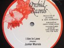 JUNIOR MURVIN-I Am In Love/Crossover, Orchid Roots 12