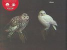 DUNGEN-HAXAN  VINYL LP NEW