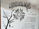 Grateful Dead Live at Harpur Bootleg The Cowboy's Dead Album Record LP